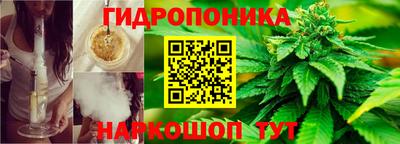 СК Мариинск