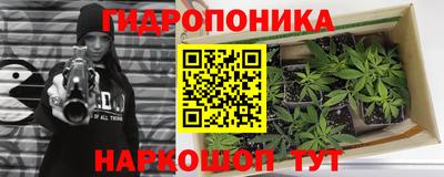 СК Мариинск